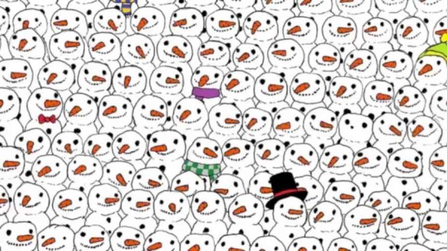 Optical Illusion for IQ Test: Can You Spot the Hidden Panda Among the Snowman?