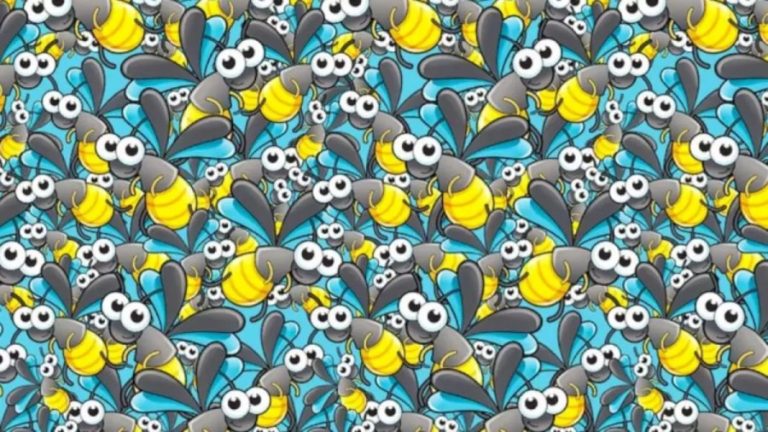 Seek and Find Optical Illusion: Can you spot the Ant within 15 Seconds?