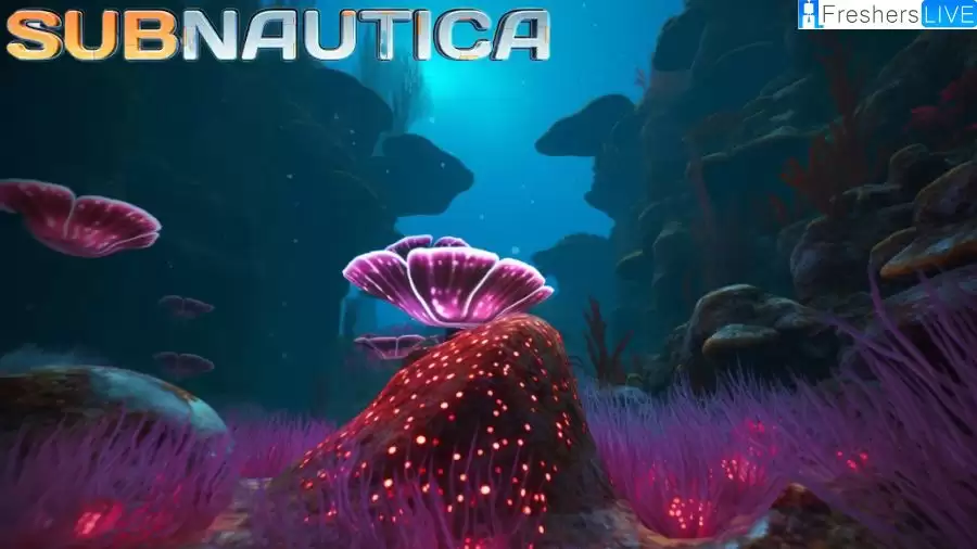 Where to Find Rubies in Subnautica? Ruby Subnautica Location