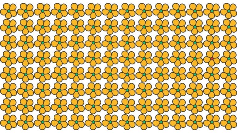 Brain Teaser For Sharp Eyes: Can You Spot The Odd One Out In 20 Secs?