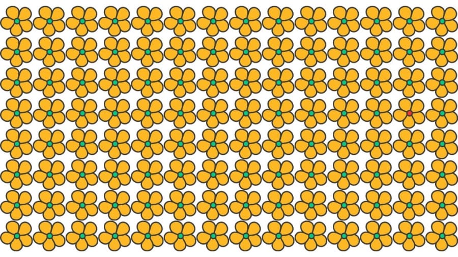 Brain Teaser For Sharp Eyes: Can You Spot The Odd One Out In 20 Secs?