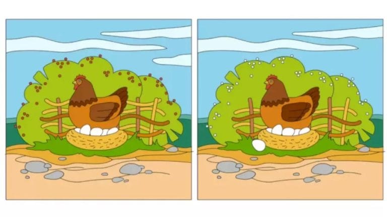 Brain Teaser : Spot 5 Differences Within 20 Secs? Picture Puzzle