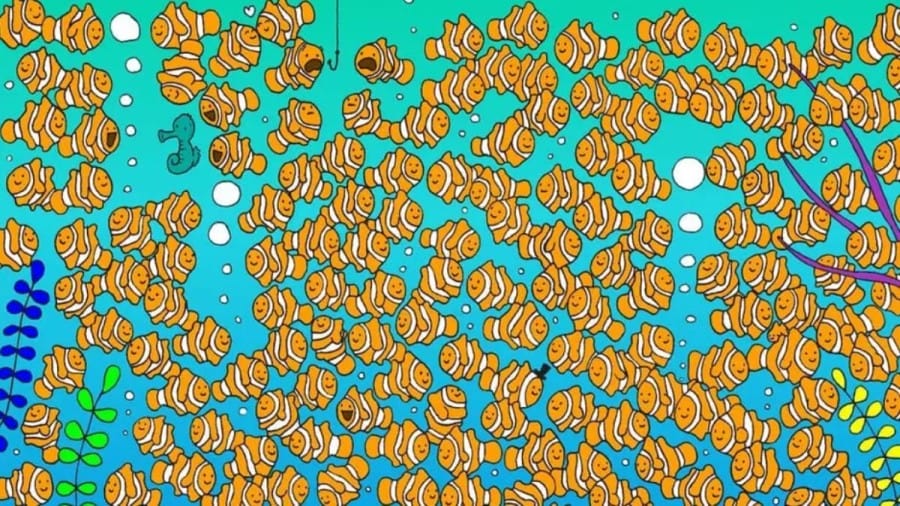 Optical Illusion: Can you Find Goldfish among Clownfish in 18 secs?