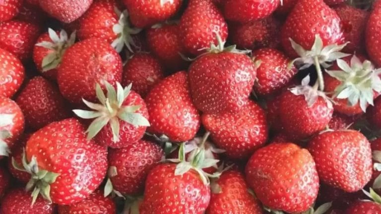 Optical Illusion Challenge: Can You Find the Odd Fruit in 12 Seconds?