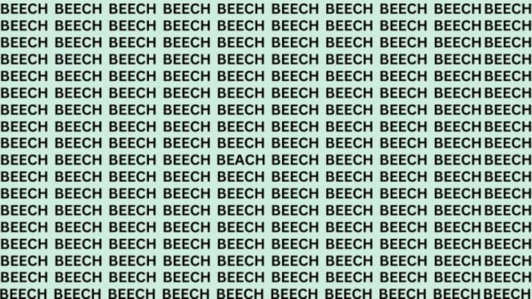 Optical Illusion: If You Have Hawk Eyes Find The Word Beach Among Beech In 20 Secs