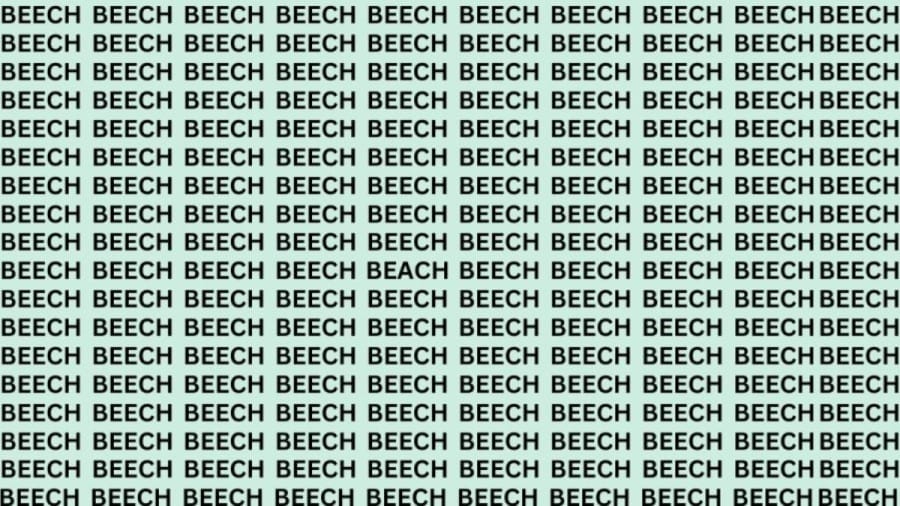 Optical Illusion: If You Have Hawk Eyes Find The Word Beach Among Beech In 20 Secs