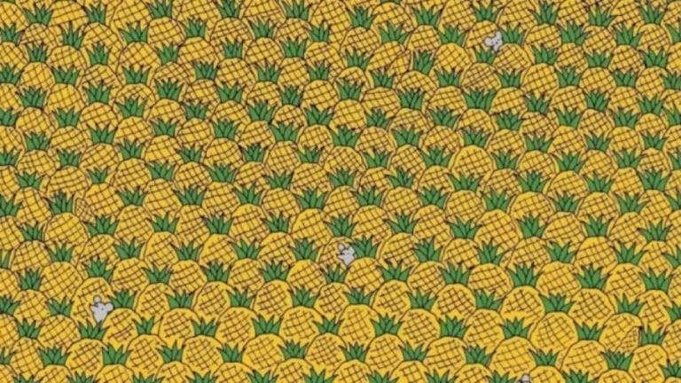 Seek And Find Optical Illusion: Eagle Eyes Can Spot Four Corns Among the Pineapples in 20 Secs