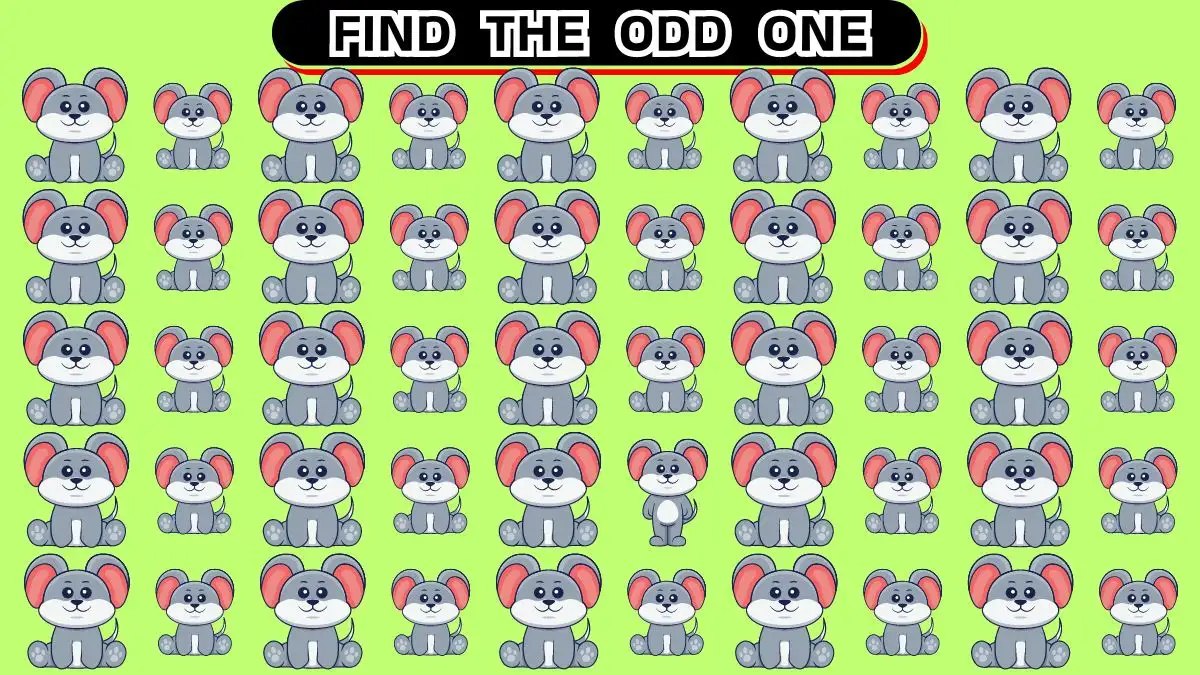 Brain Teaser Odd Challenge: Can You  Find the Odd One in 12 Seconds?