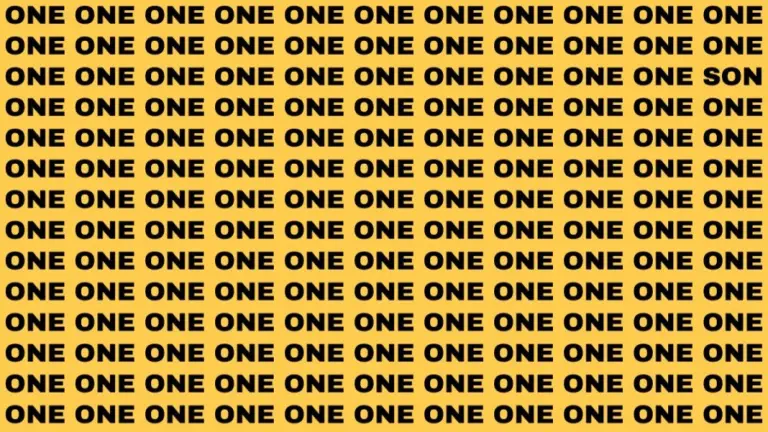 Brain Teaser: If You Have Eagle Eyes Find The Word Son In 15 Secs