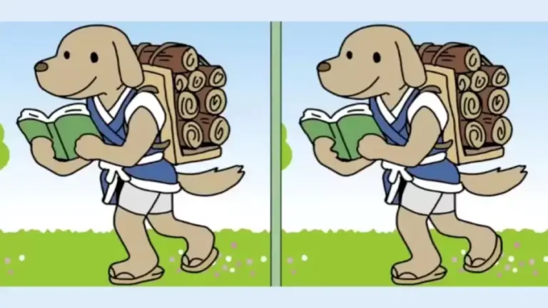 Brain Teaser Picture Puzzle: Can You Spot 3 Differences Between The Two Pictures?