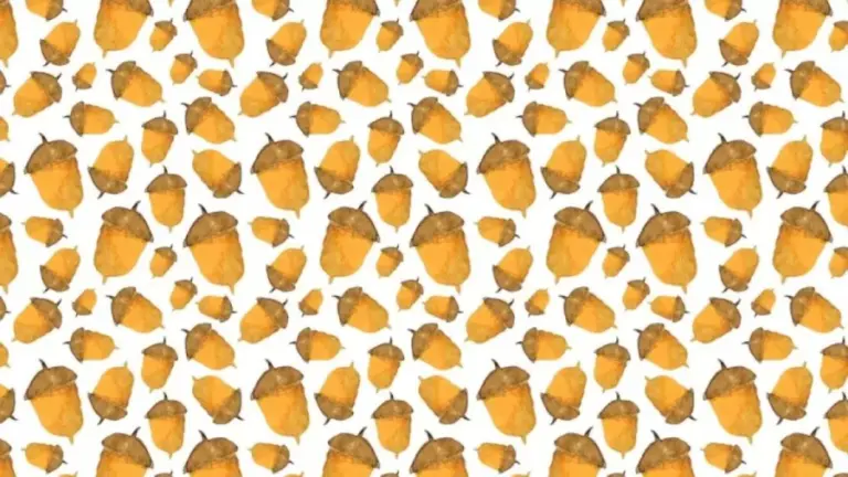 Can You Locate The Hidden Chipmunk Among The Acorns Within 11 Seconds In This Optical Illusion?