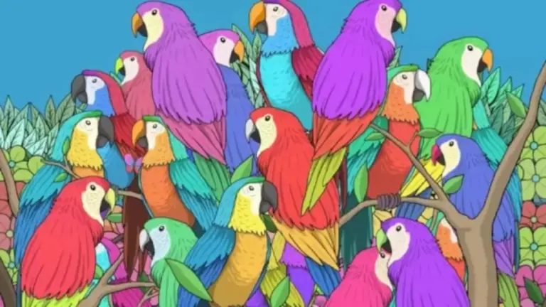 Can You Locate the Hidden Butterfly Among these Parrots? Explanation And Solution To This Optical Illusion