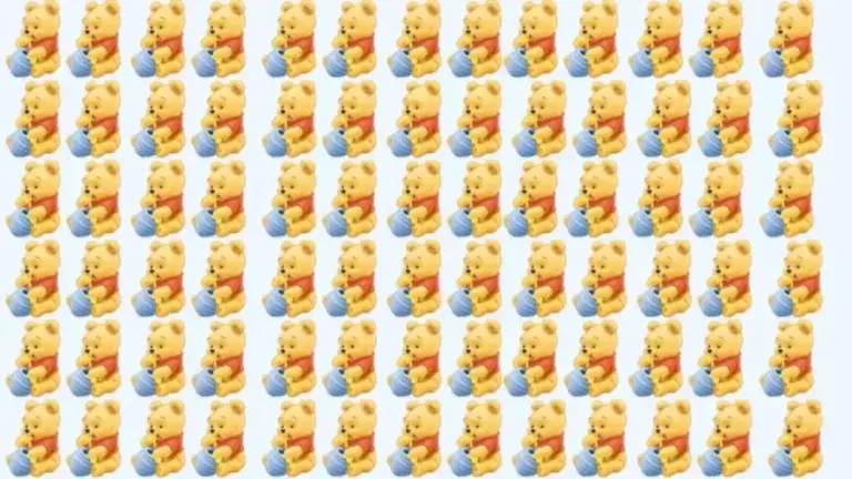 Find The Odd Winnie The Pooh In This Brain Teaser Picture Puzzle