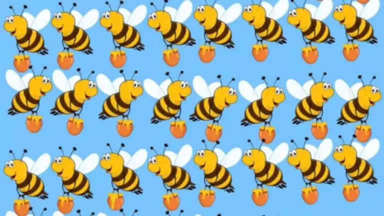 One Of The Bee In This Optical Illusion Is Different From The Rest. Can You Identify It?