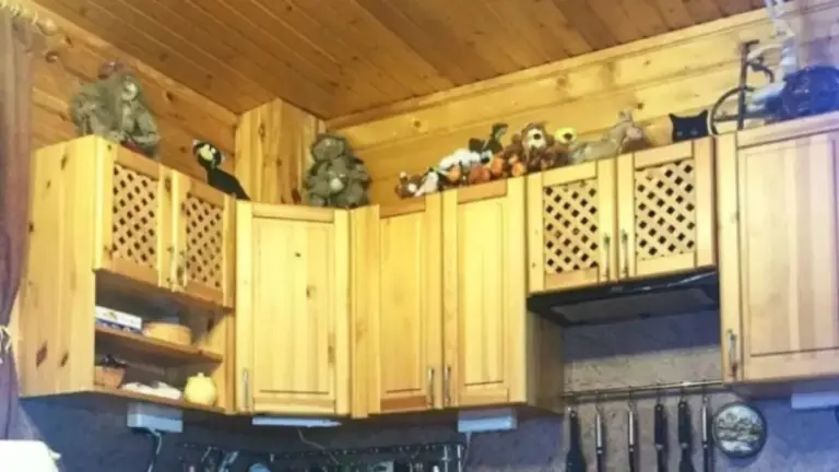 Optical Illusion: Can You Find the Hidden Cat in 15 Seconds?