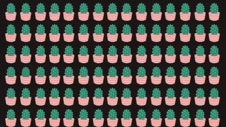 Optical Illusion: Can You Identify The Odd Plant In This Optical Illusion Within 13 Seconds?