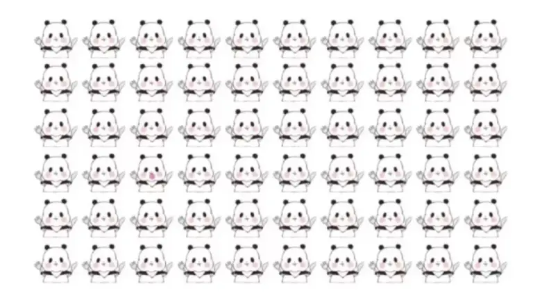 Optical Illusion: Can You identify the Different Panda in 12 Seconds?