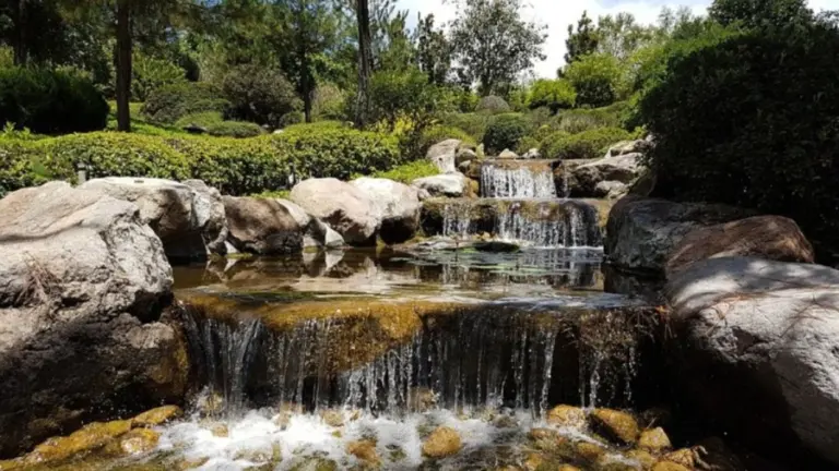 Optical Illusion Eye Test: The Parrot In This Waterfalls Can Only Be Seen By Few People. Are You One Of Them?