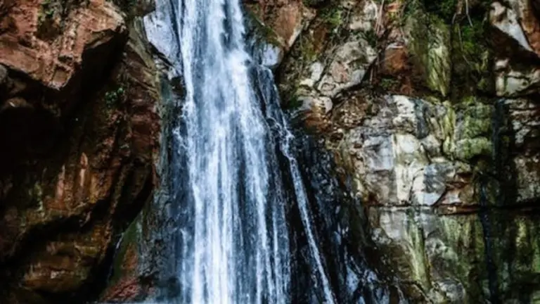 Optical Illusion Find And Seek: You Got 15 Seconds, Try To Detect The Mandrill In This Waterfalls. Get Set Go!