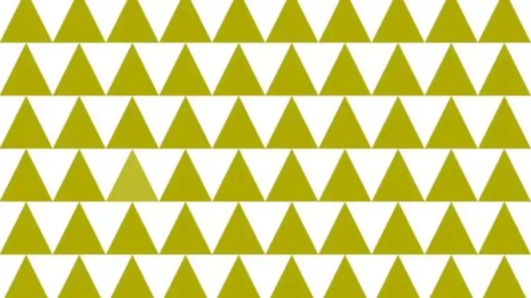 Optical Illusion IQ Test: You Need To Be An Attentive Person To Find The Different Coloured Triangle In This Image