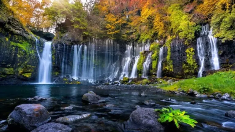 Optical Illusion: If You Are Able To Detect The Black Panther In This Waterfalls Within 25 Seconds You Have Eagle Eyes