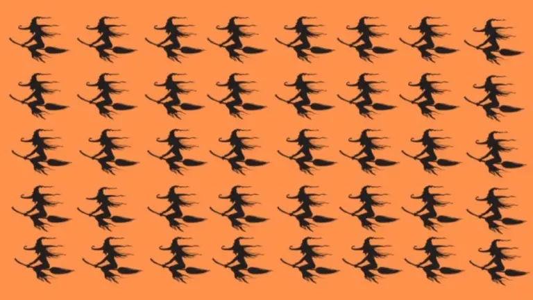 Optical Illusion Odd Silhouette Challenge: Can You Identify The Odd Witch Within The Time Limit Of 25 Seconds?