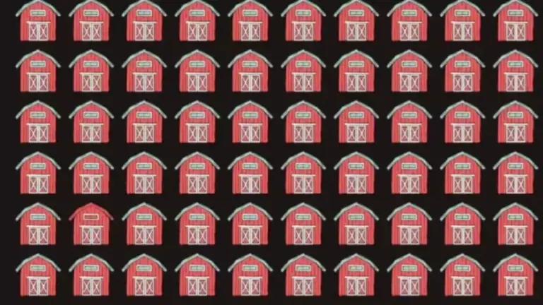 Optical Illusion Visual Test: Can You Spot The Different Barn?