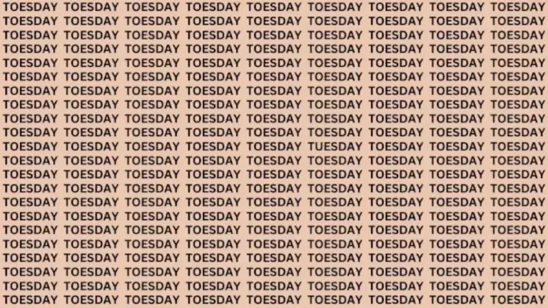 Brain Teaser: If You Have Eagle Eyes Find The Word Tuesday in 10 Secs