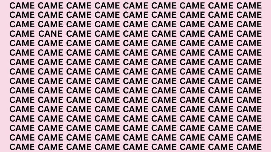 Brain Teaser: If You Have Hawk Eyes Find The Word Cane Among Came In 20 Secs