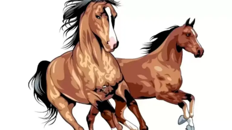 Optical Illusion Brain Test: You Are An Intelligent If You Spot The Hidden Horse Rider Here