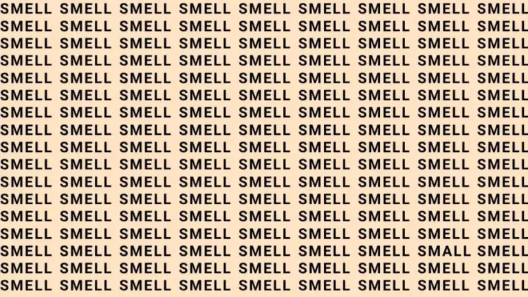 Brain Test: If You Have Eagle Eyes Find The Word Small Among Smell In 12 Secs