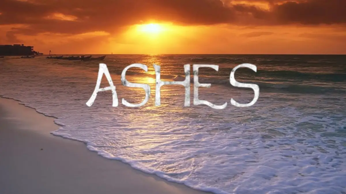 Ashes Ending Explained, Plot, and Review