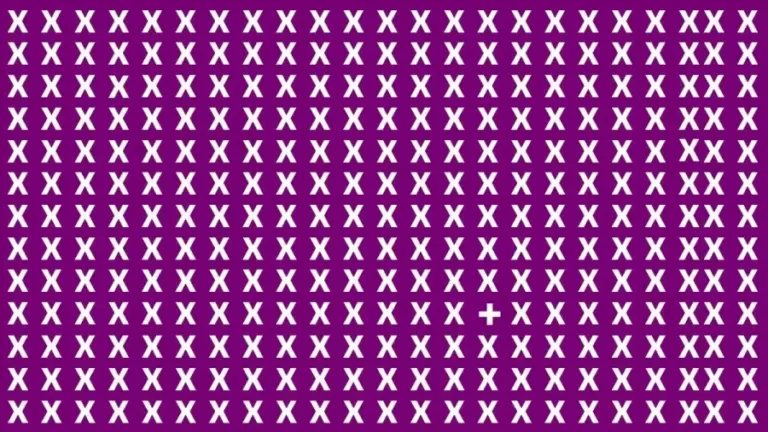 Brain Teaser: Can You Find + Symbol Among the X within 15 secs?