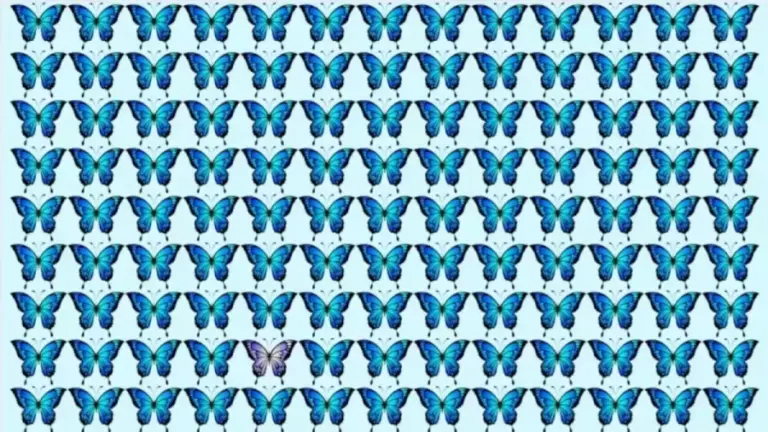 Brain Teaser - Can You Spot The Odd Butterfly In This Image In 30 Secs? Picture Puzzle