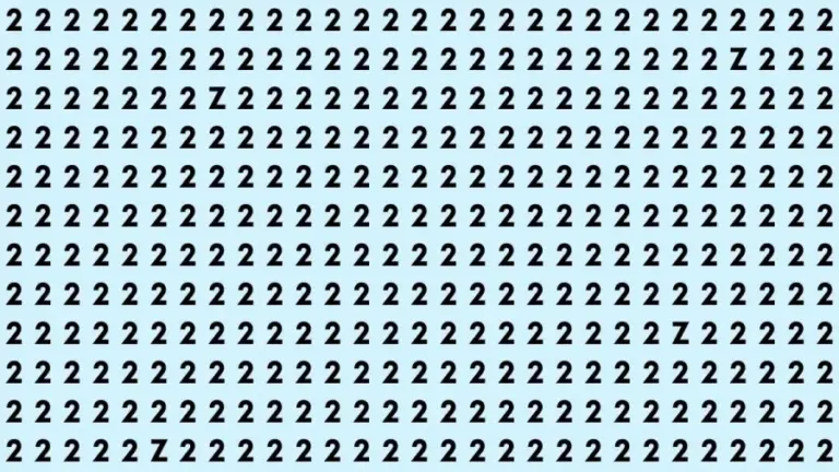 Brain Teaser: How Many Z Can You Find In This Picture?