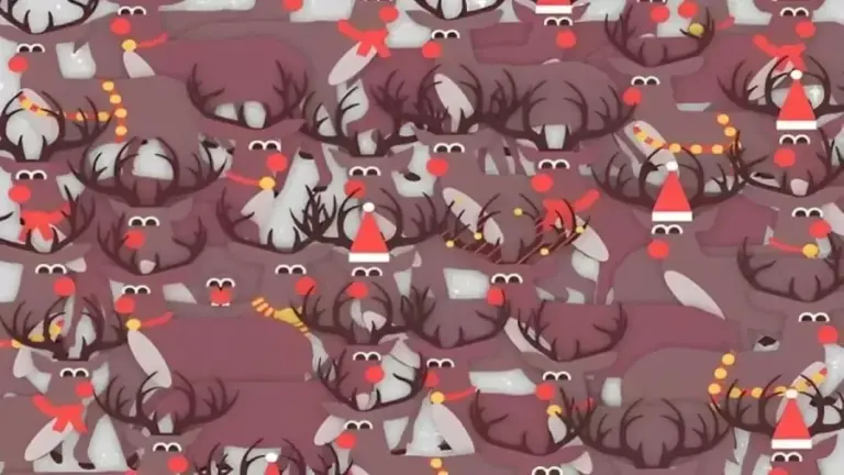 Can You Find A Hidden Bird Among Reindeers In 10 Seconds? Explanation And Solution To The Hidden Bird Optical Illusion