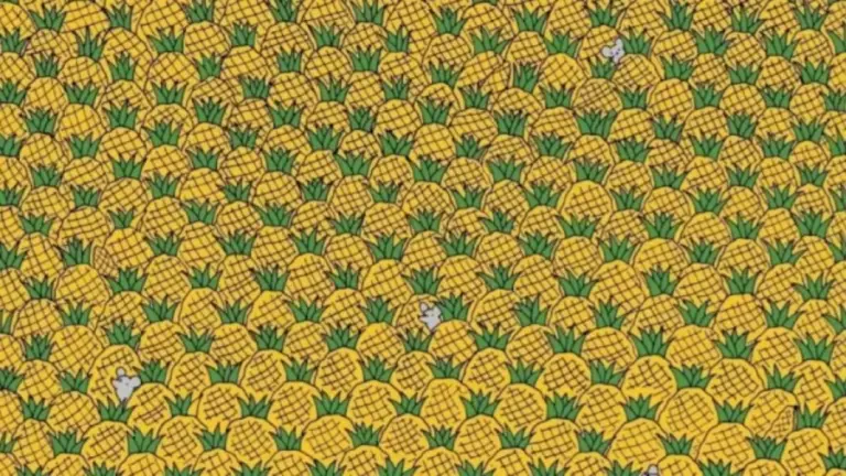 Can You Find Four Corns Among The Pineapples Within 18 Seconds? Explanation And Solution To This Corns Optical Illusion