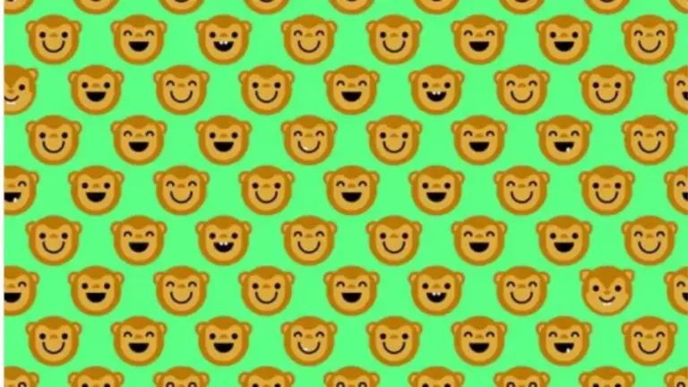 Can You Find The 4 Squirrels Among The Monkeys Within 18 Secs? Only A Few Can Get It! Explanation And Solution To The Squirrels Optical Illusion