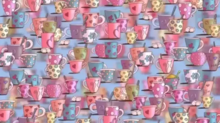 Can You Find The Hidden Bucket Of Sand Among These Cups Within 12 Seconds? Explanation And Solution To The Hidden Bucket Of Sand Optical Illusion