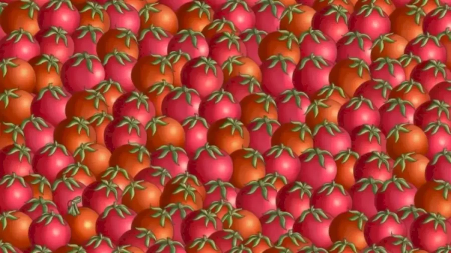 Can You Find The Hidden Christmas Ball Among These Tomatoes Within 25 Seconds? Explanation And Solution To The Hidden Christmas Ball Optical Illusion