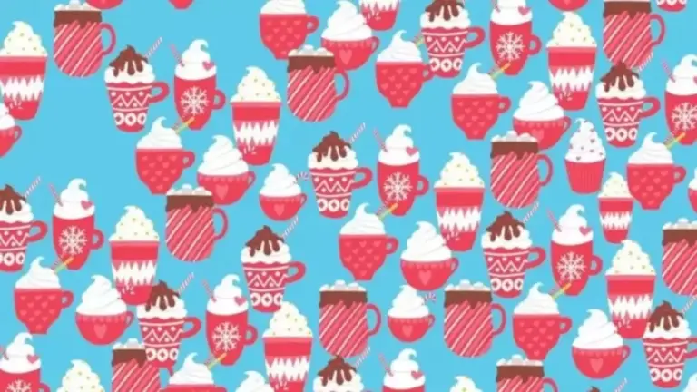 Can You Find The Hidden Cupcake Among The Sea Of Hot Cocoa Within 19 Seconds? Explanation And Solution To The Hidden Cupcake Optical Illusion