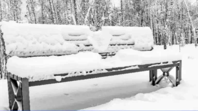 Can You Find The Hidden Rabbit Among Snow Within 10 Seconds? Explanation And Solution To The Rabbit Optical Illusion