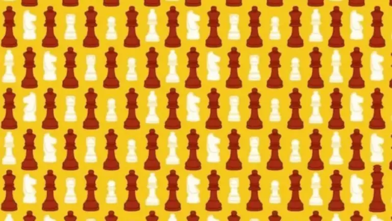 Can You Find The King In This Image? Explanation And Solution To The King Optical Illusion