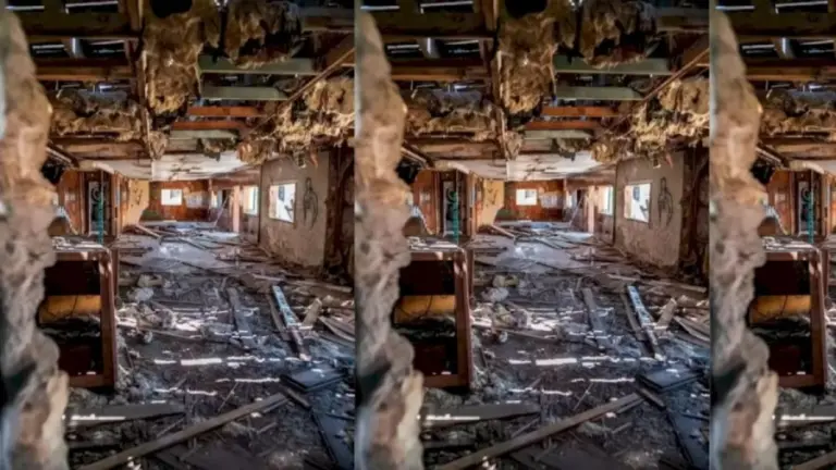 Can You Find The Spider Web In This Abandoned Place Optical Illusion In Less Than 16 Seconds?