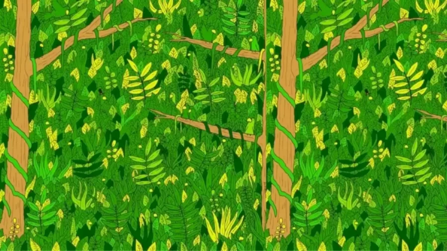 Can You Find The Well Hidden Snake In This Optical Illusion Within 20 Seconds?