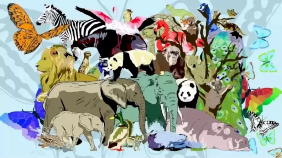 Can You Find the Little Tiger Among these Animals in 15 Seconds? Explanation and Solution to the Optical Illusion