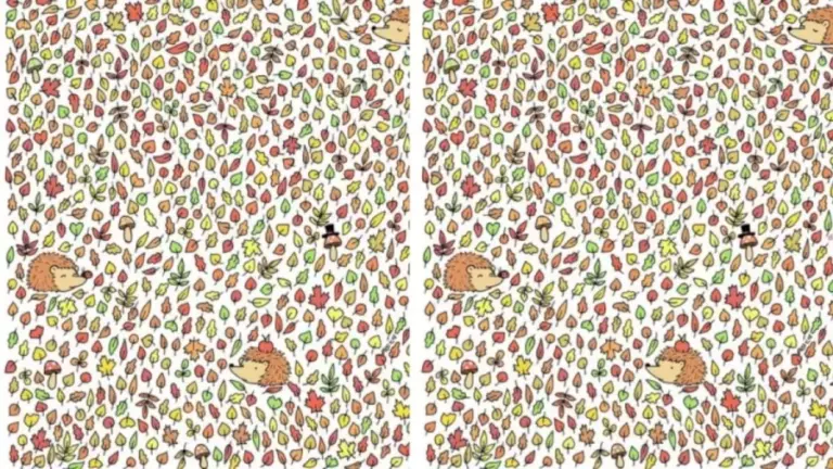 Can You Spot The Acorn Hidden Among The Leaves within 15 Secs? Explanation And Solution To The Acorn Optical Illusion