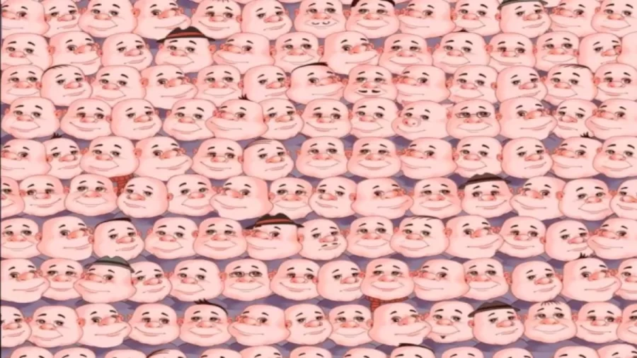 Can You Spot The Pig Among These Faces Within 18 Seconds? Explanation And Solution To The Hidden Pig Optical Illusion