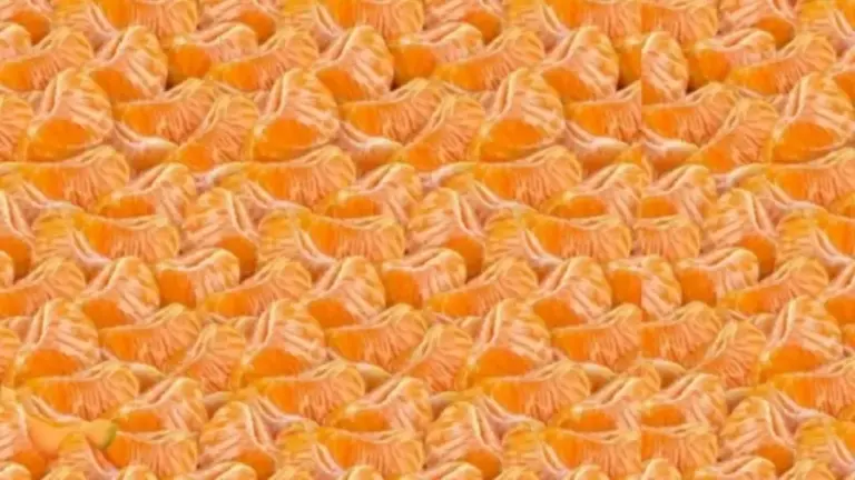 Can You Spot the Melon in this Image within 12 Seconds? Explanation and Solution To The Optical Illusion