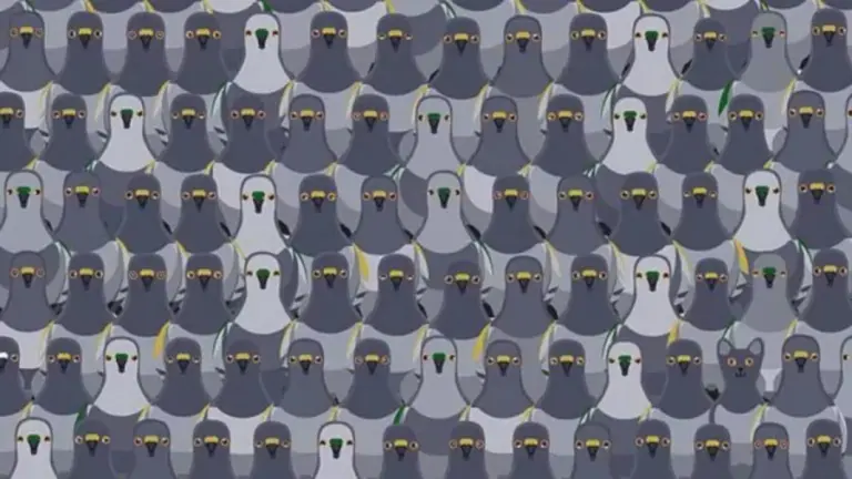 Cat Finding Optical Illusion: Can You Spot The Cat Among The Pigeons Within 18 Seconds?